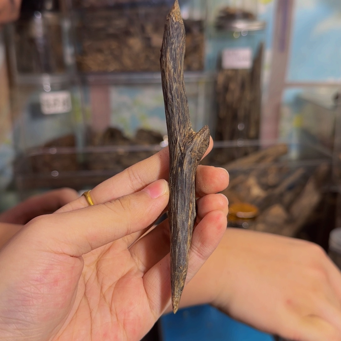 沉香沉香碎屑11克34天然虫