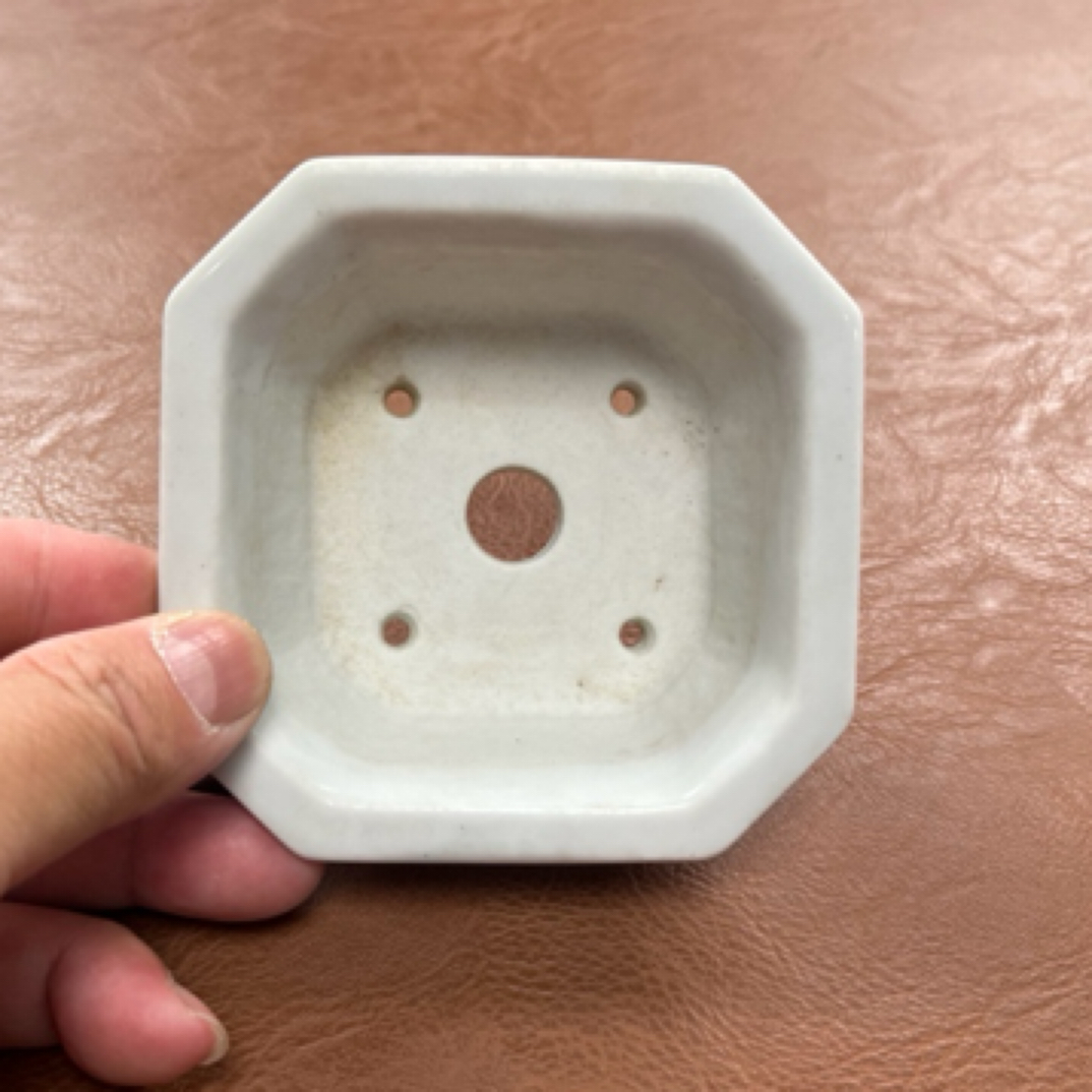 直播间花盆专拍链接，自拍无效