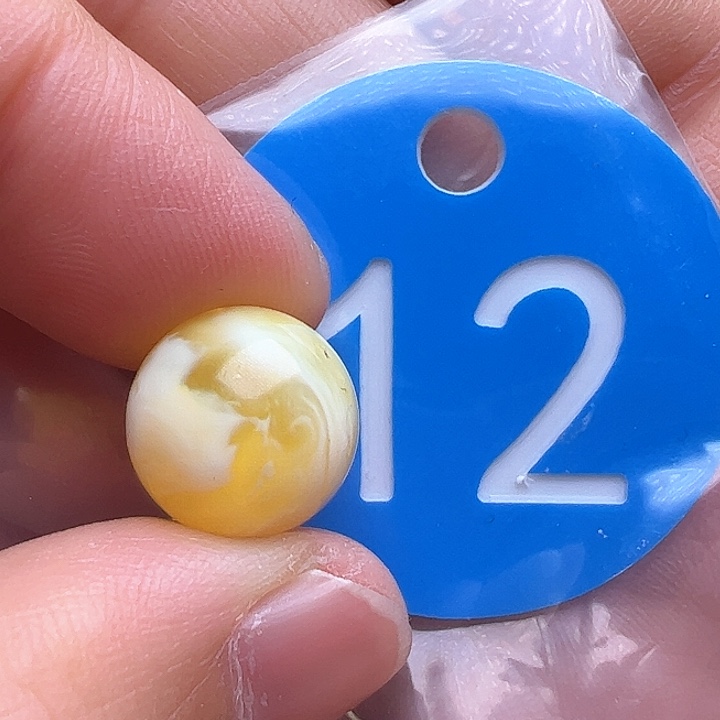 未镶嵌蜜蜡裸石内裂12m m