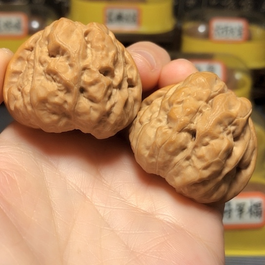 精品水晶皮蛤蟆头