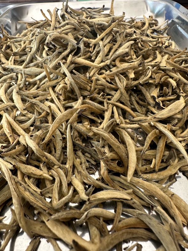 【老白毫银针】春茶云南白毫银针景谷大白茶滋味醇厚药香