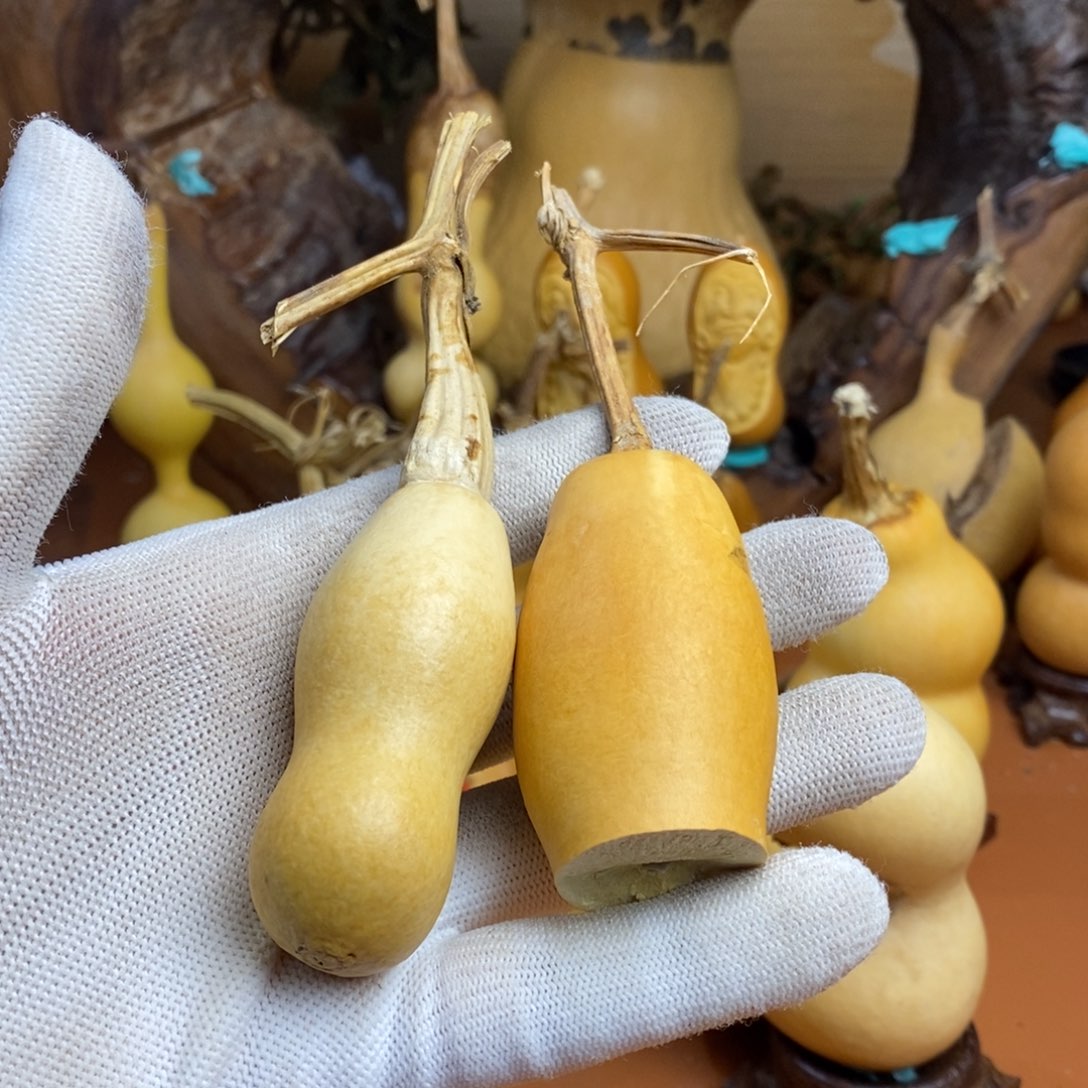 美***人途径哭教练咯教练咯