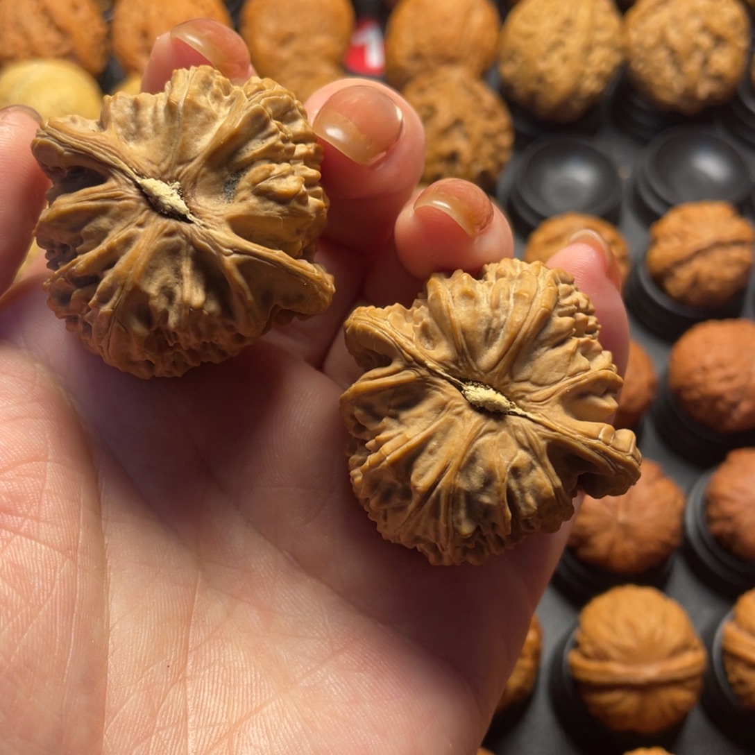 丁***狗文玩核桃把件核桃