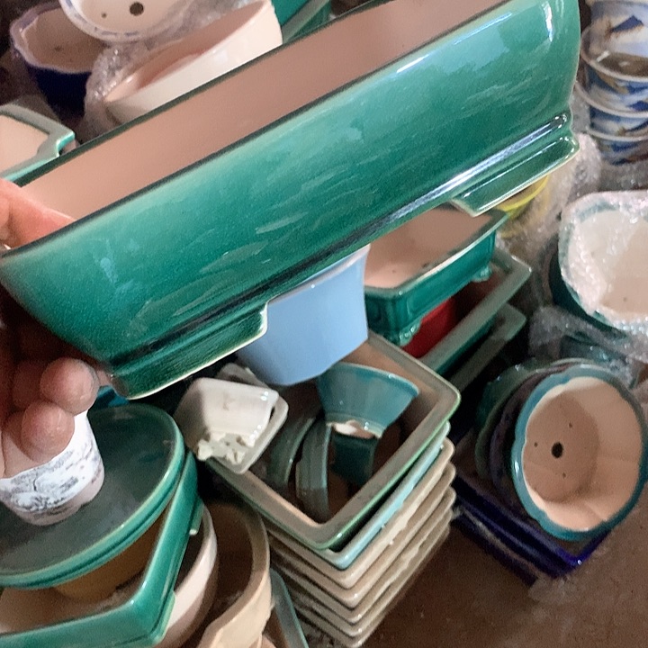 紫砂你也早点睡觉啦