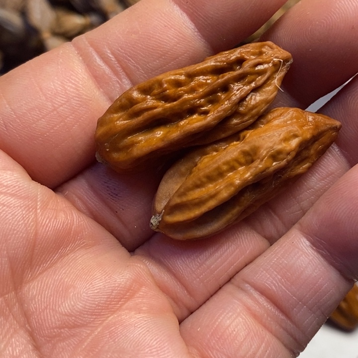 吊坠文玩核桃东北特产11