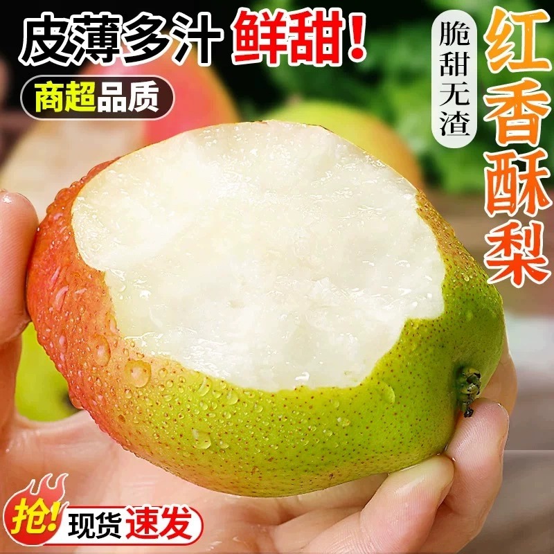 【脆甜爆汁】正宗山西头茬果红香酥梨酥脆爽口应季新鲜水果孕妇水果