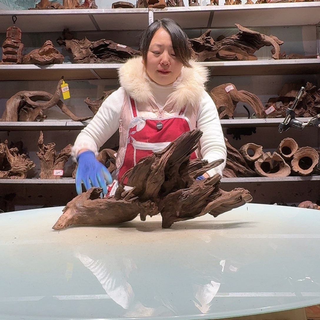 倍褚沉木不包损必褪色1****60833