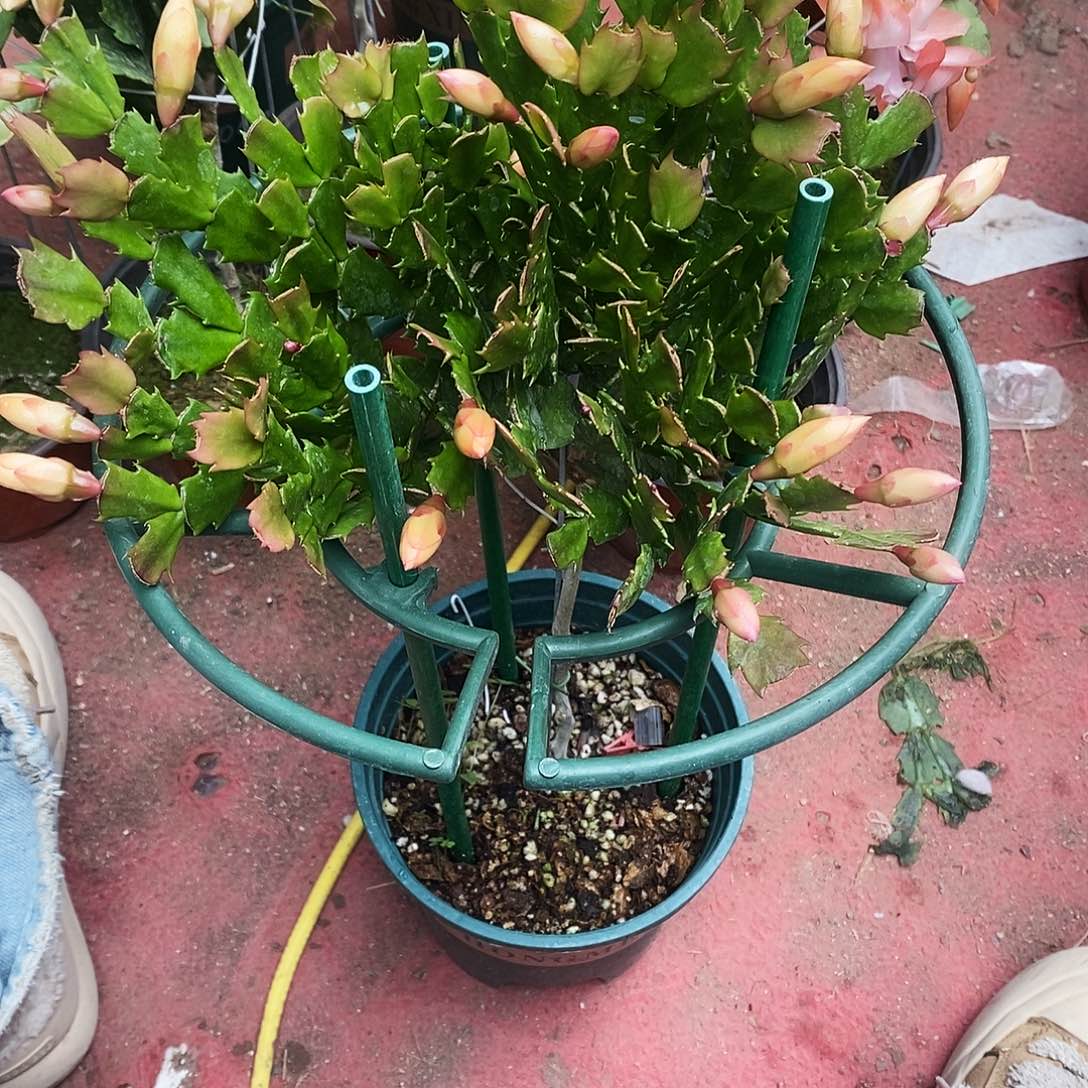 与***行完全开放福利款单层