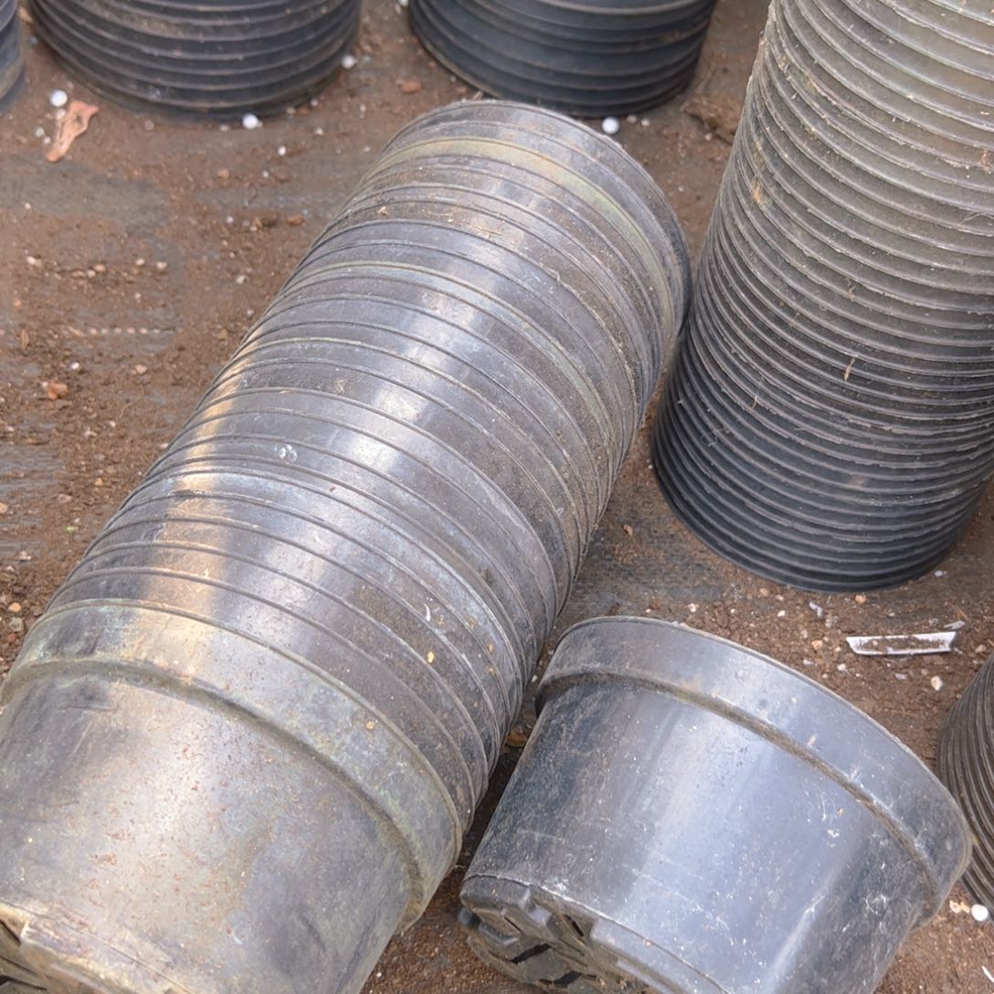 塑料矮胖盆15口径9高 25个 