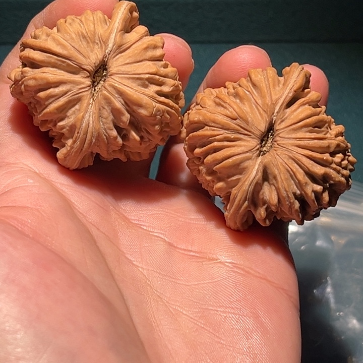 文玩核桃把件用****942楼子毕业对