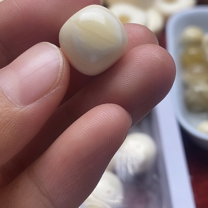 手串/手链贝壳14.3成13.5皮笑老邢朱子