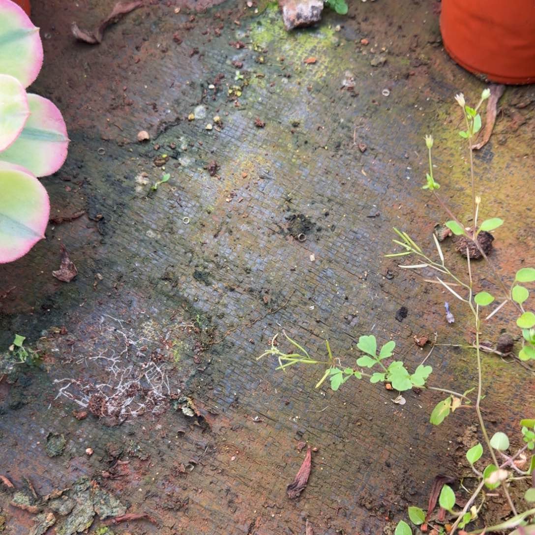 保温连接零下必拍