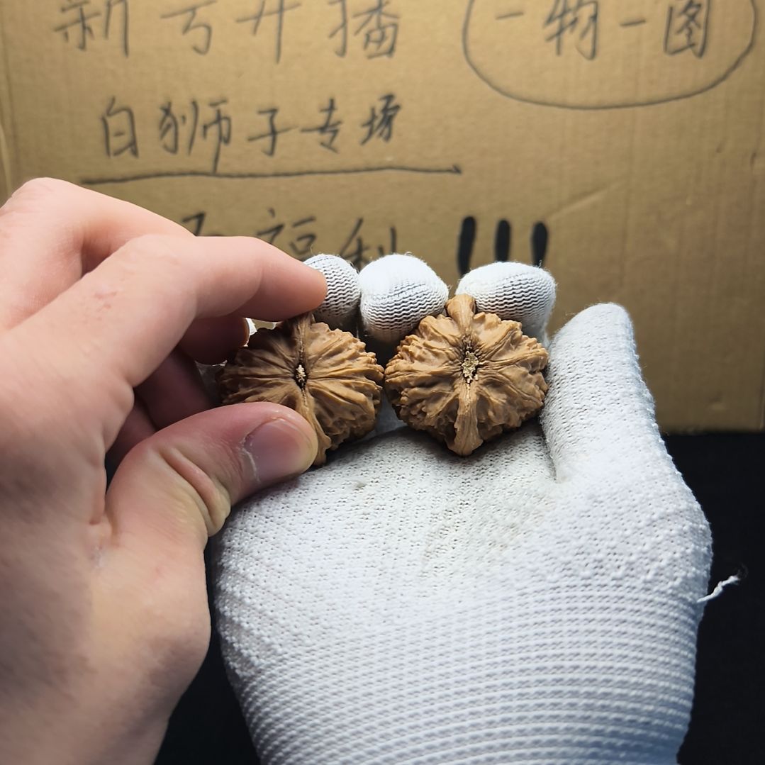 文玩核桃吊坠白狮子