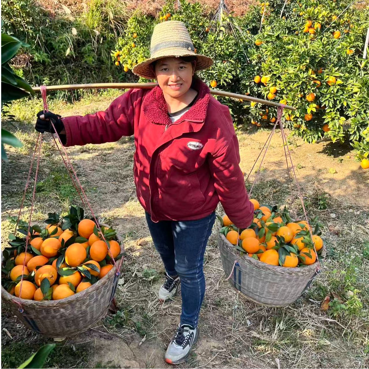 收尾福利价江西赣南脐橙现摘现发自家果园正宗口感