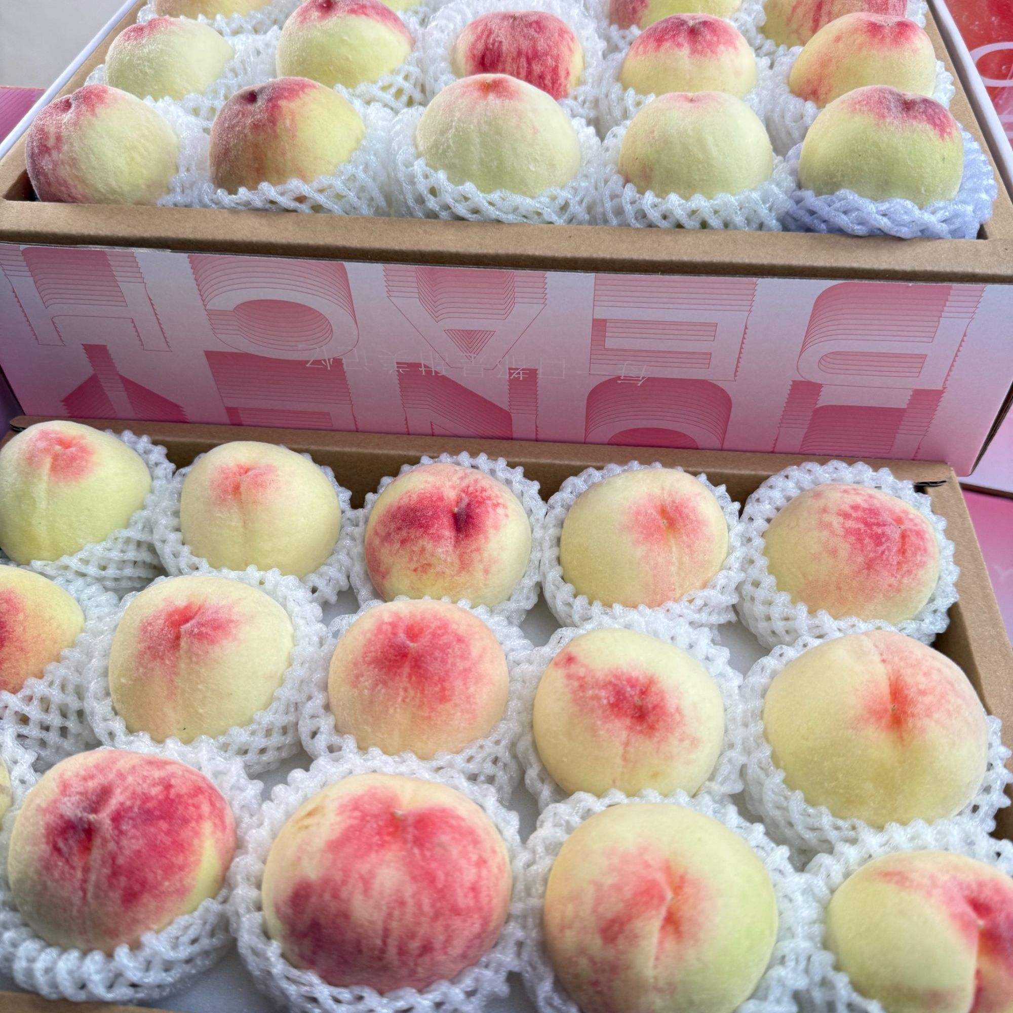 J【无锡水蜜桃早桃尝鲜】新鲜采摘顺丰包邮15只/盒带包装约3.2斤左右江苏省