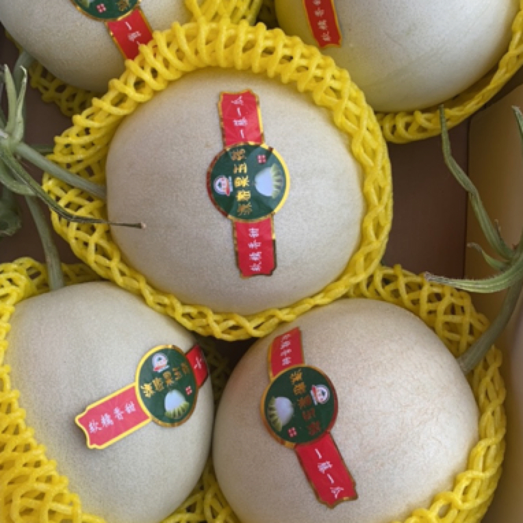 【小时达】玉菇甜瓜1个（大果糯香甜约2.5-3斤左