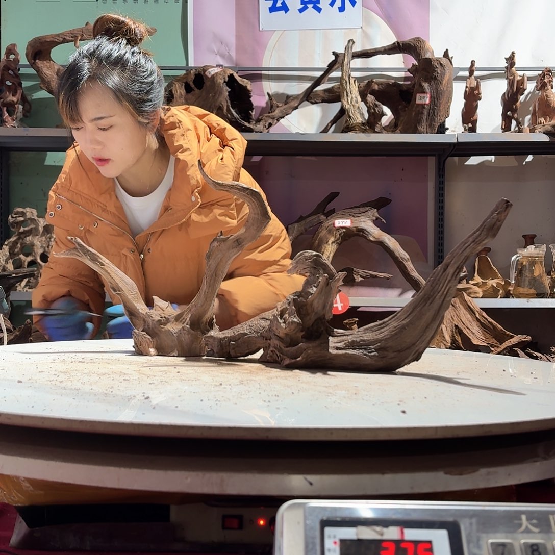 倍诸沉木不包损必褪色冰**地7254-2