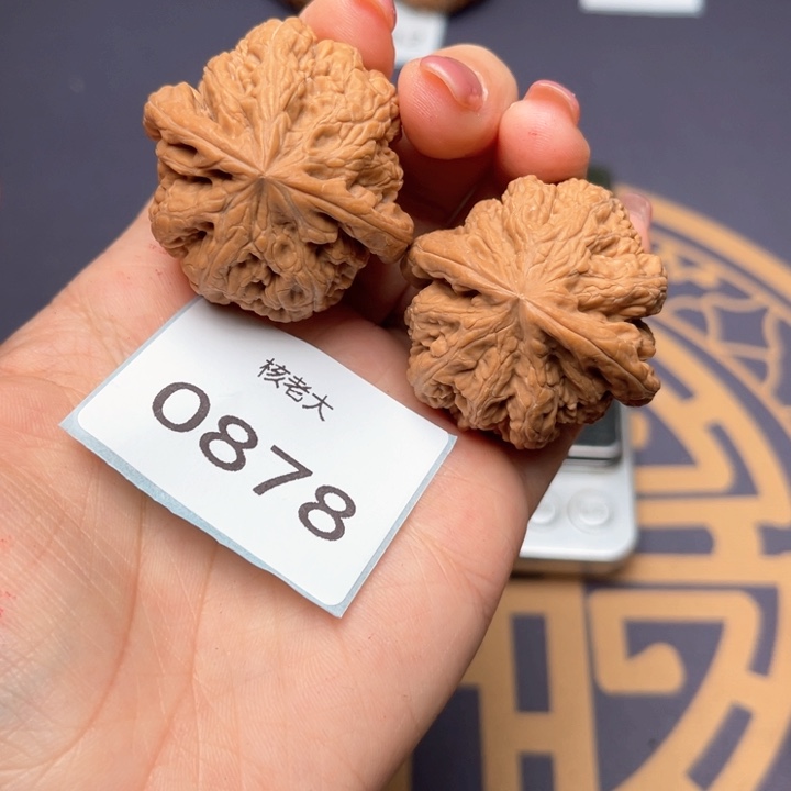 文玩核桃把件38大粗筋 0878