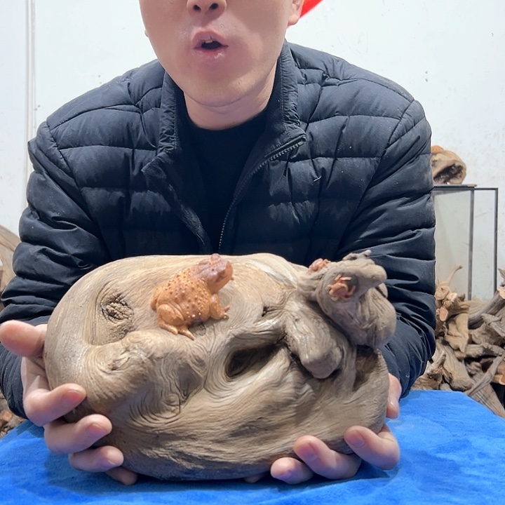 柏木华*我们都是好孩子呀我也