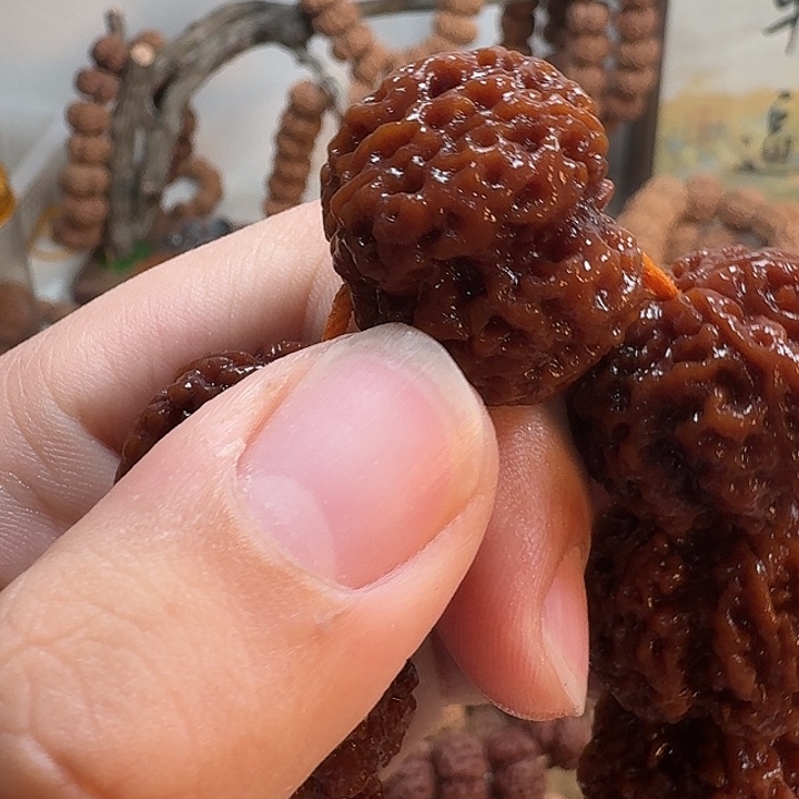 金刚菩提吊坠托****海金刚