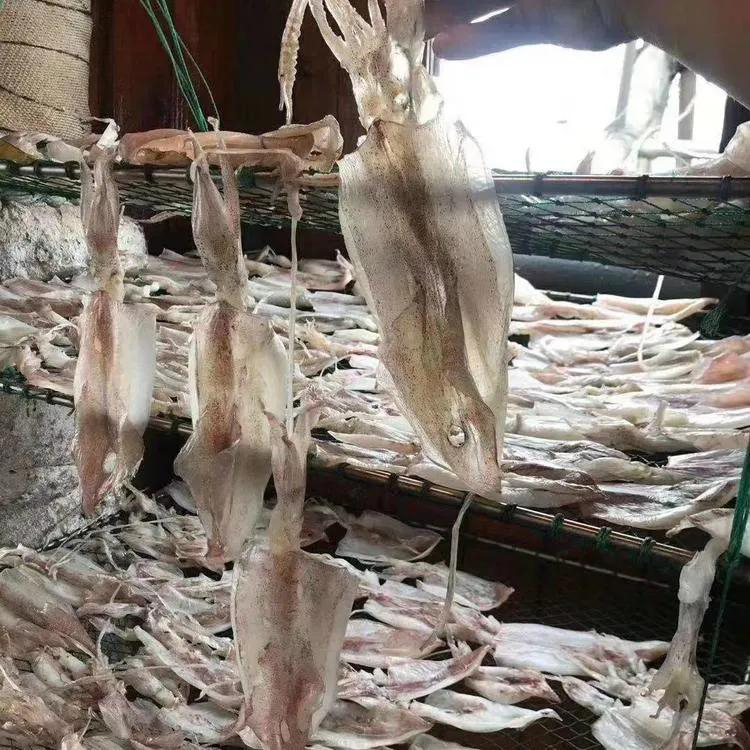 北部湾船晒鱿鱼干晒鱿鱼水煮烧烤金牌特色淡晒鱿沙虫干