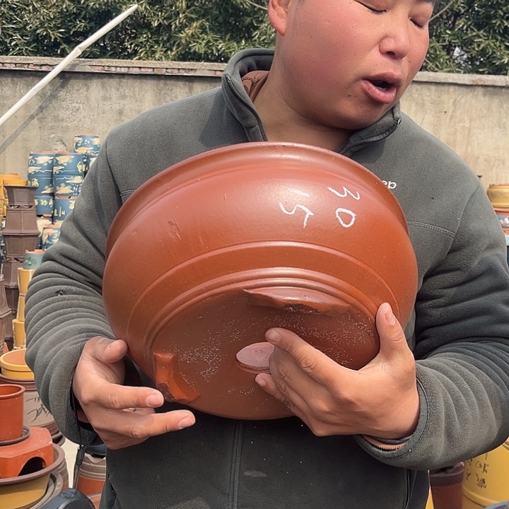 紫砂紫砂花盆盆栽