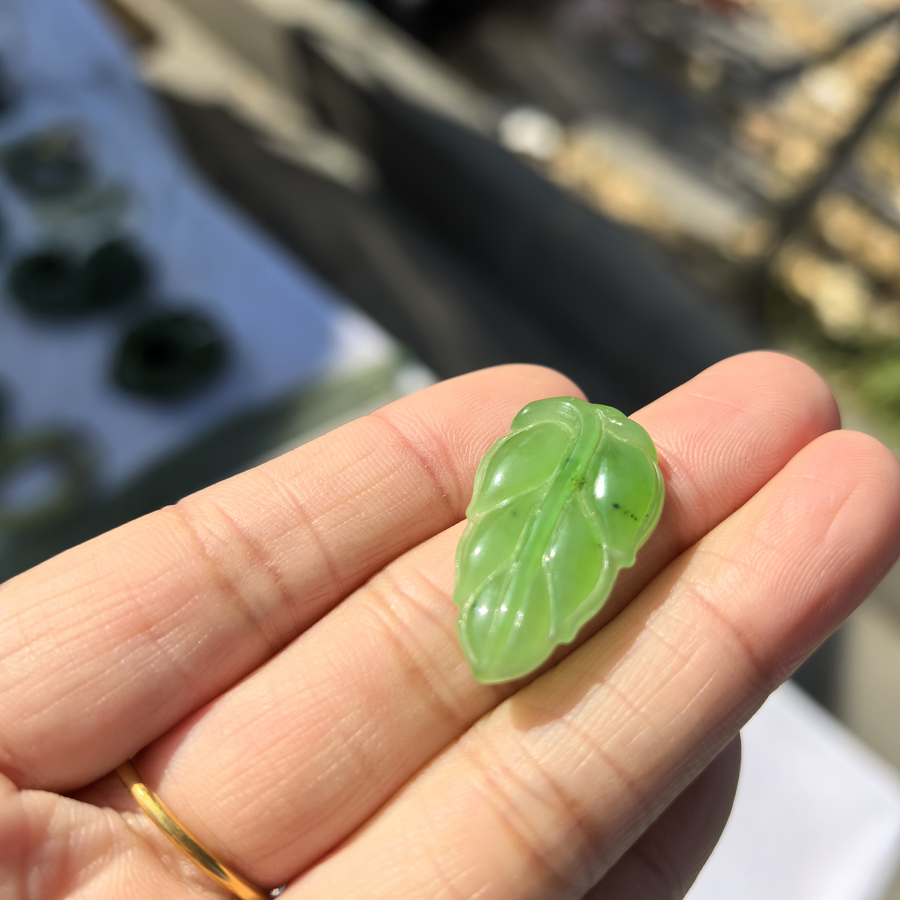 俄罗斯碧玉苹果绿树叶，寓意金枝玉叶大业有成精美满绿