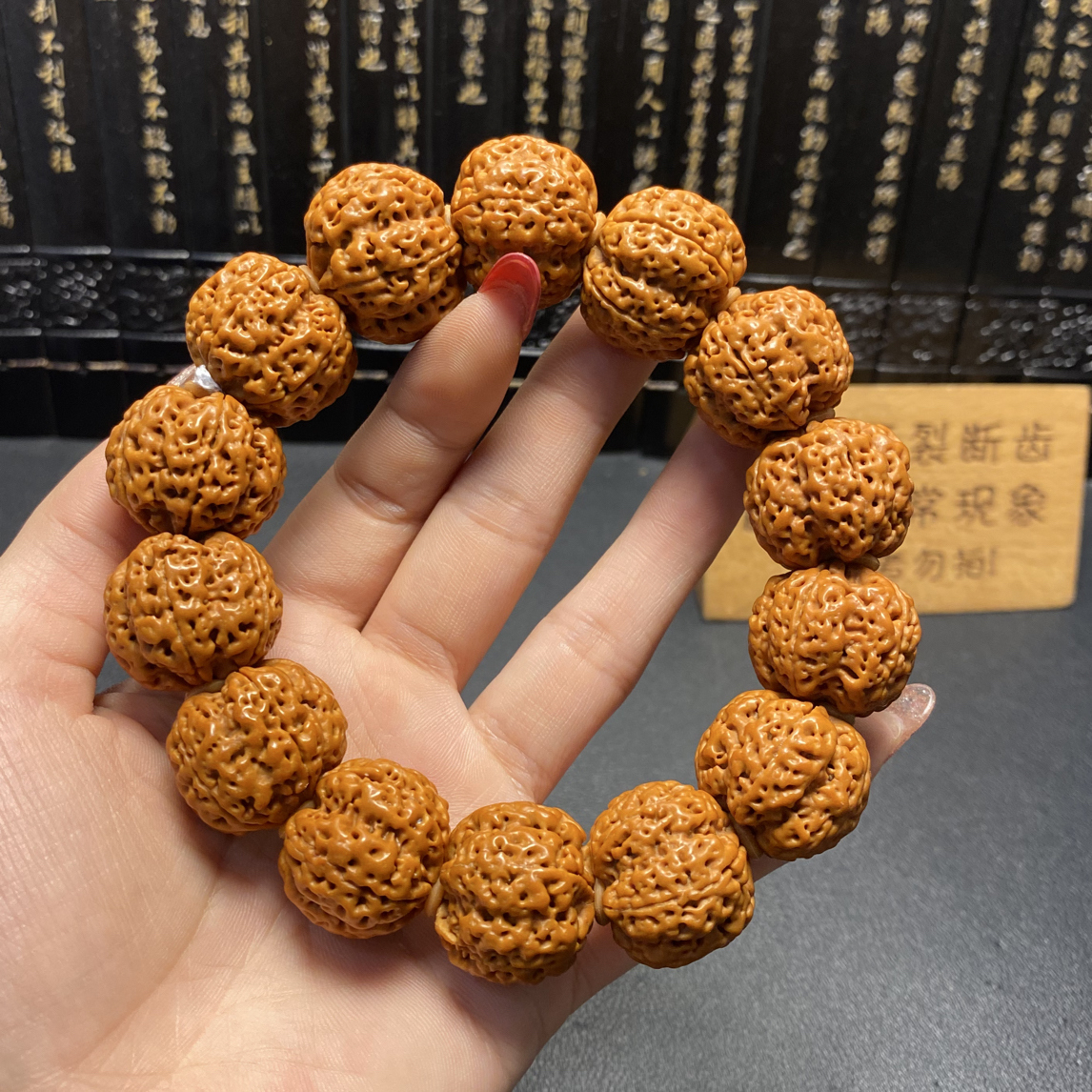 新品，满肉五爪金龙（5号）