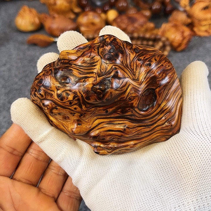 柏木（崖柏）陈化崖柏