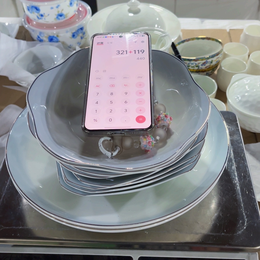 努****新骨瓷10.5大盘再加两个