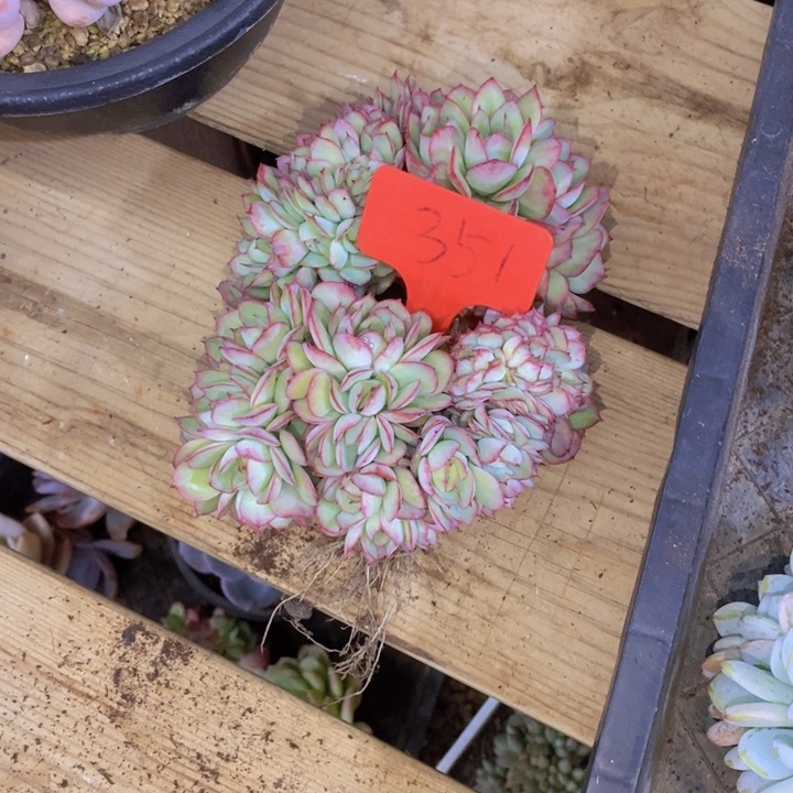 凡***儿这么大岁数怎么会那么冷