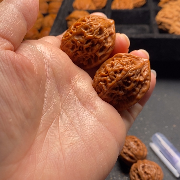 秦岭野生1111111111