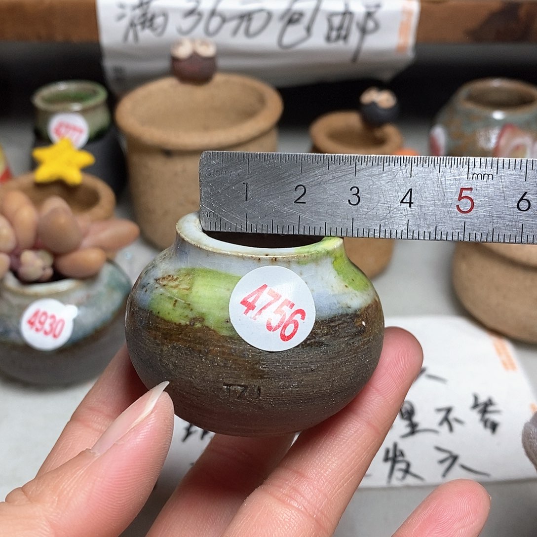 红陶拍5送一个小