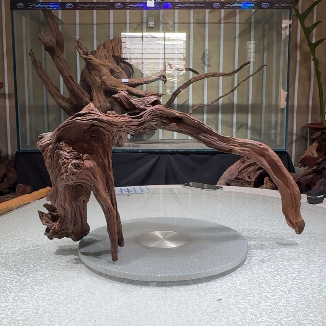 宇***辰一物一拍鱼缸造景