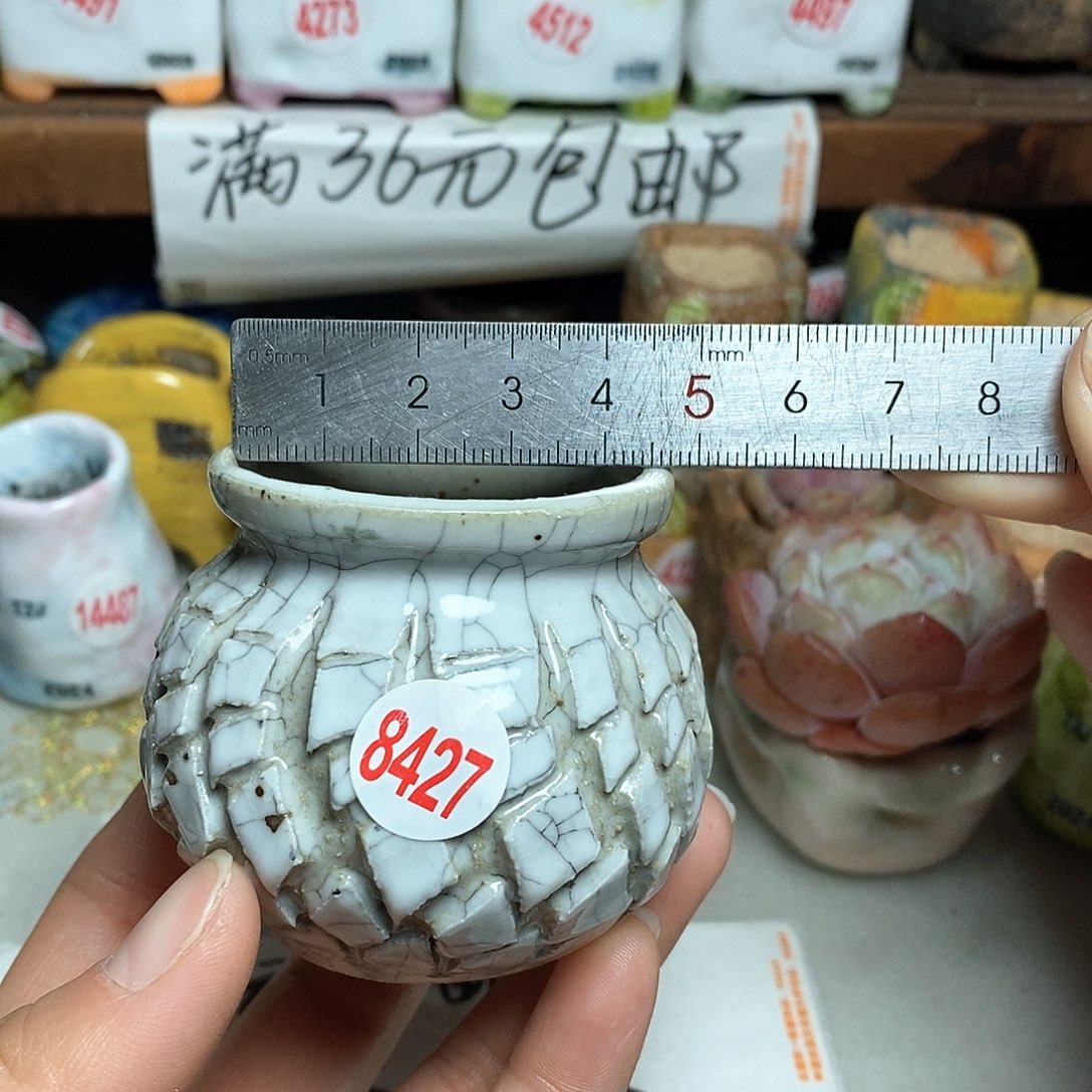 红陶拍5送一个小