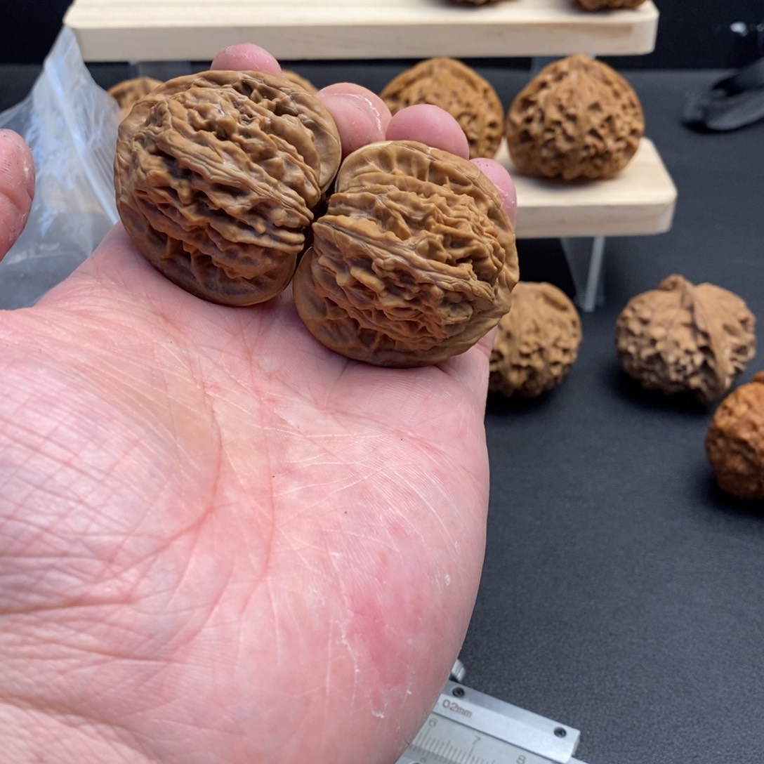 吊坠文玩核桃41三角楼