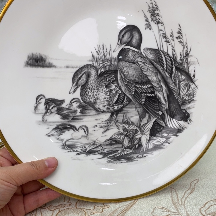 盘维多利亚欧洲中古
