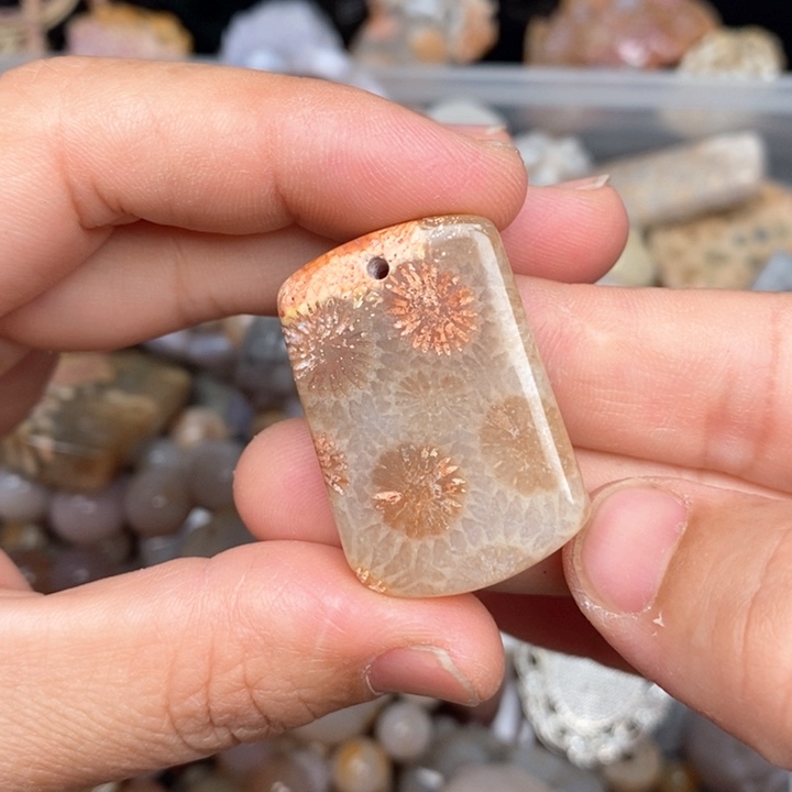 硅化珊瑚（珊瑚玉）手镯未镶嵌