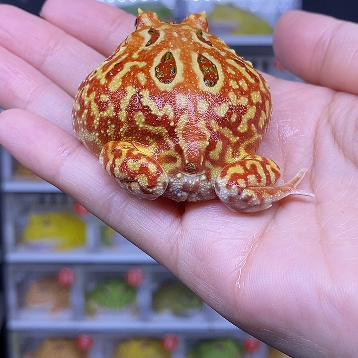 特价秒杀现货供应