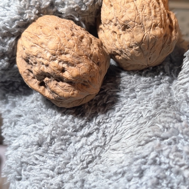 文玩核桃吊坠滇西铁核35