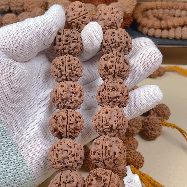 金刚菩提手串23古龙铁籽