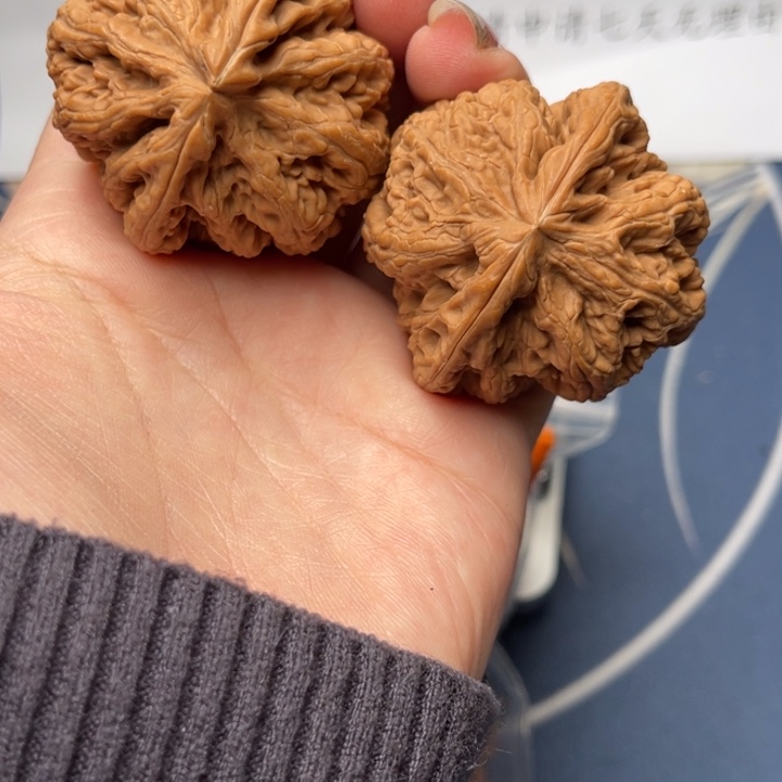 文玩核桃把件粗筋44