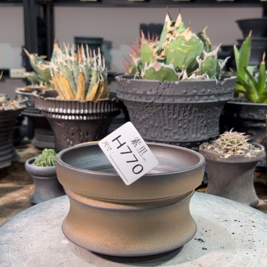 景德镇手工素里内口12.5高8