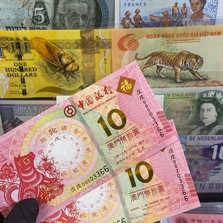 纸币天*澳门生肖狗 尾号66 真钞真钱