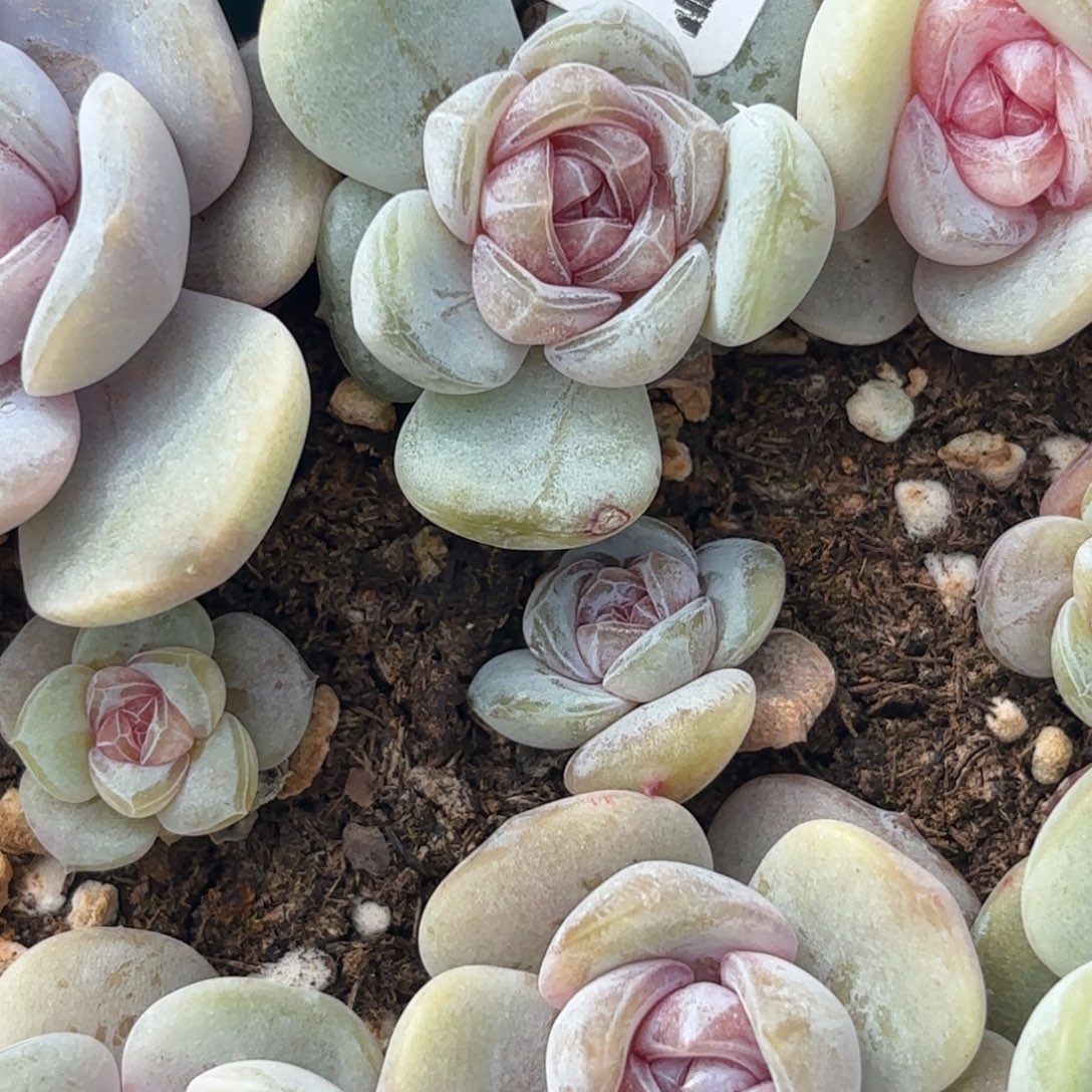 @***@247款可选的产品都是最好