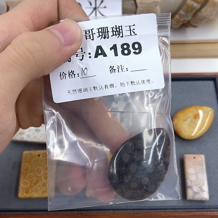 硅化珊瑚珊瑚玉未镶嵌妮***妮