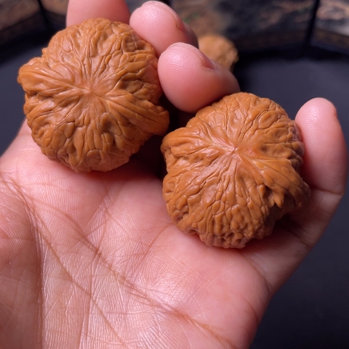 核桃35铁锤。     