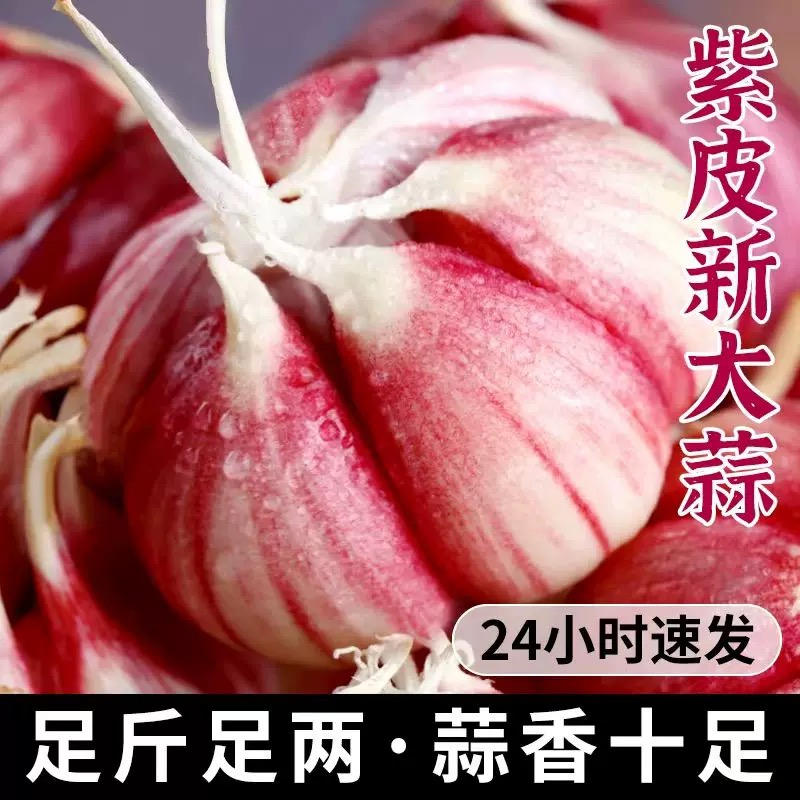 【农家产地直发】当季新蒜紫白皮大蒜特价蒜头新鲜大蒜5斤山东直发