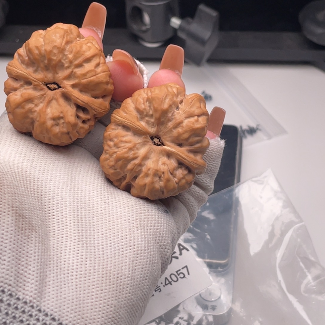 得***晚核桃4057蛤蟆啊啊啊啊