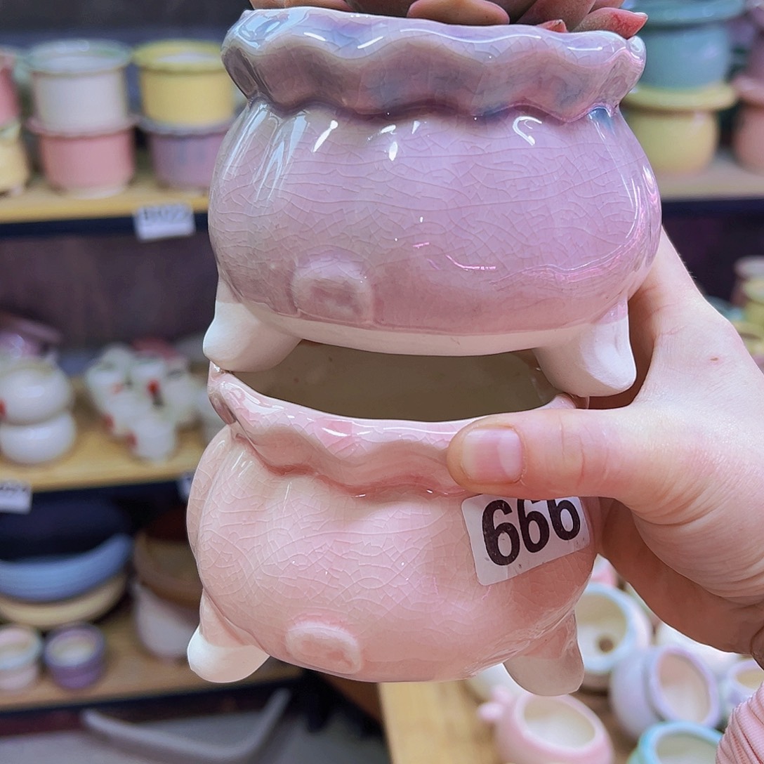 陶瓷花盆当场凑到12包邮